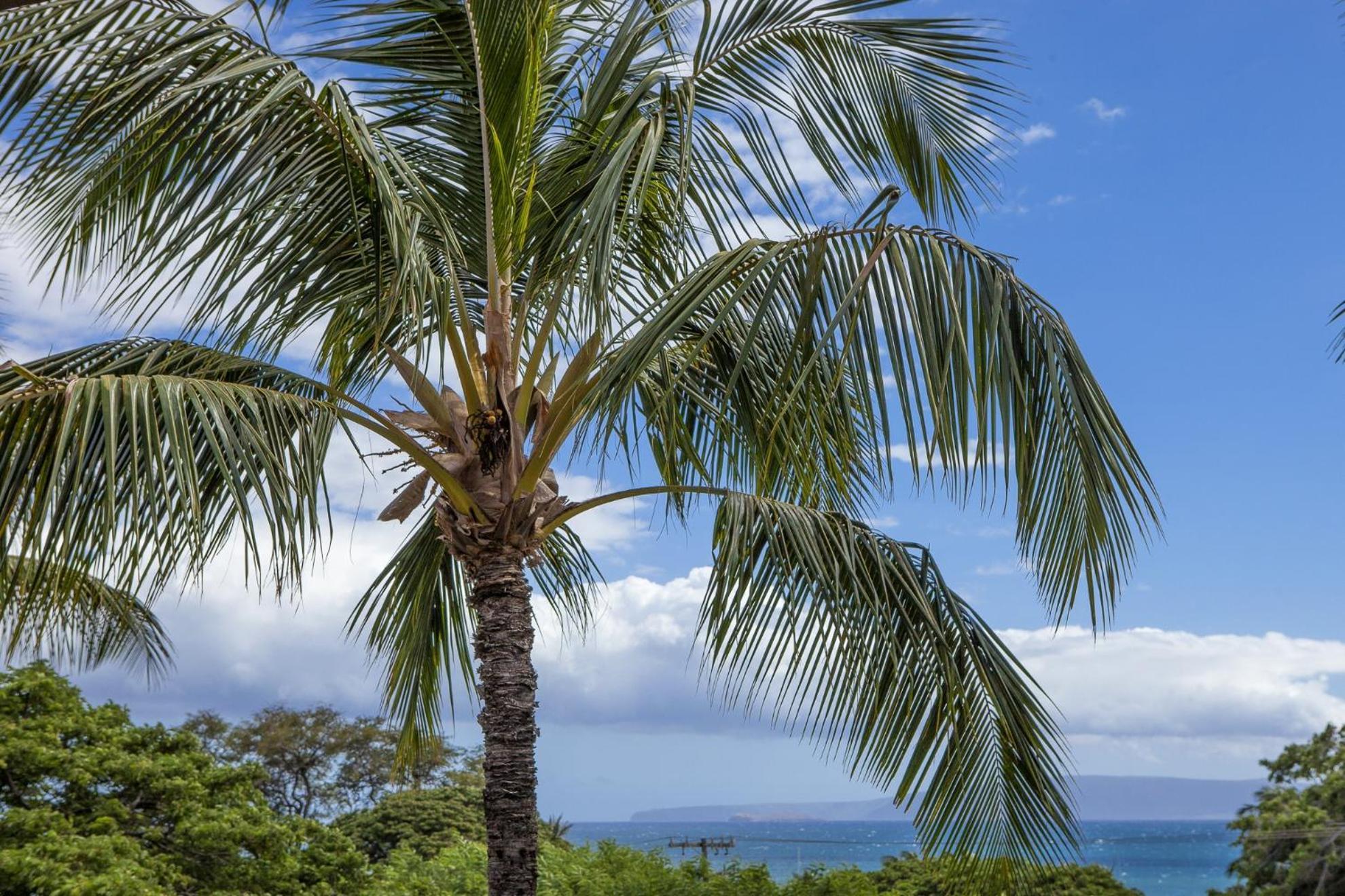 Maui Vista By Coldwell Banker Island Vacations Apartment Kihei Exterior photo